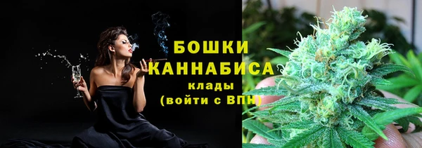 хмурый Пересвет