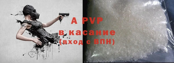 хмурый Пересвет