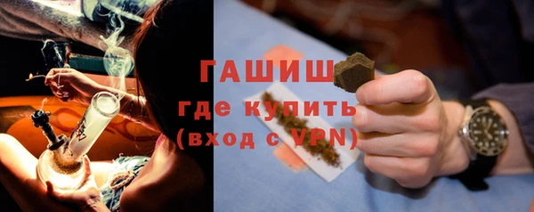 хмурый Пересвет