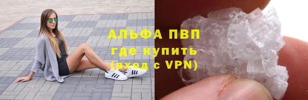 крисы Осташков
