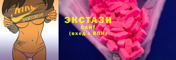 хмурый Пересвет