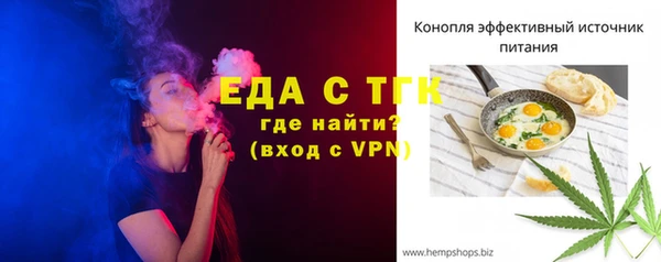 хмурый Пересвет