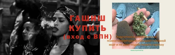 хмурый Пересвет
