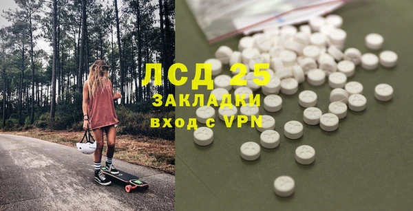 хмурый Пересвет
