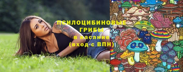 прущий лед Переславль-Залесский