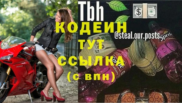 хмурый Пересвет