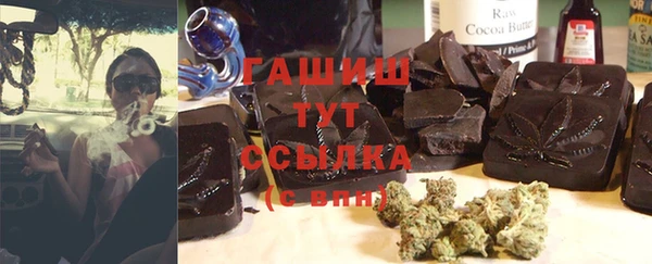 хмурый Пересвет