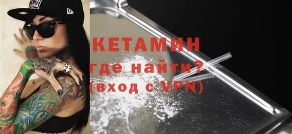 хмурый Пересвет