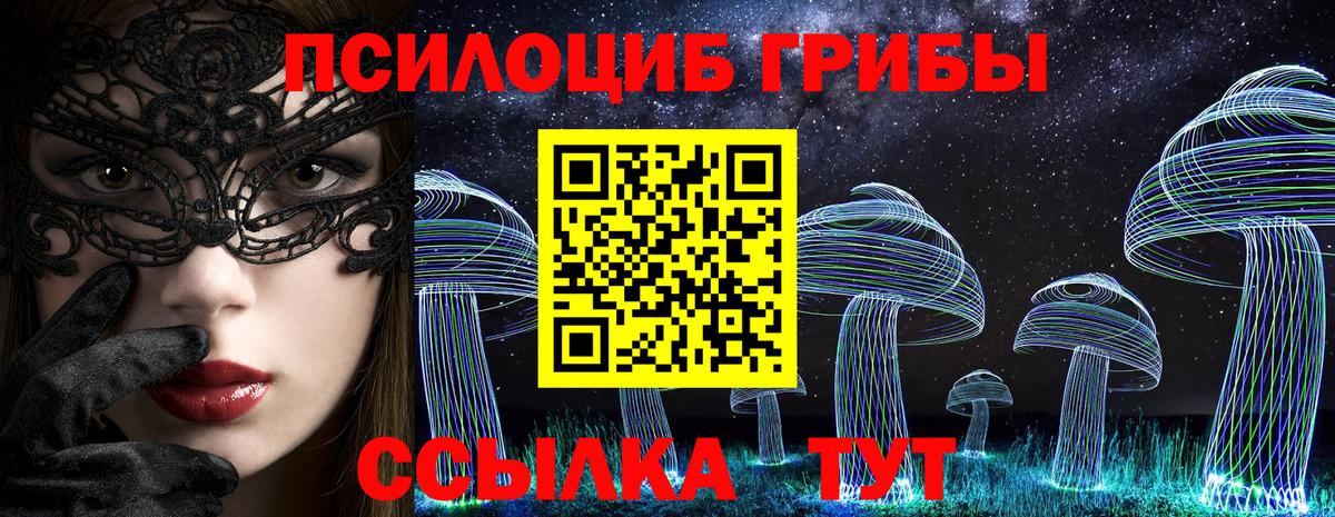 Псилоцибиновые грибы Psilocybine cubensis Котельники