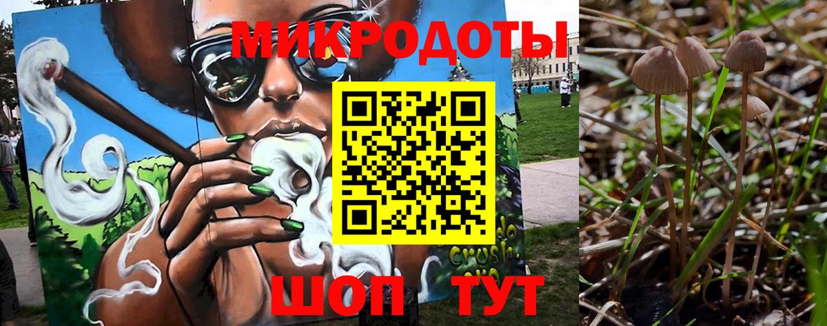Котельники  Псилоцибиновые грибы ЛСД  Вход с VPN 